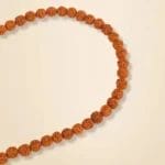 A close-up of a brown beaded necklace with evenly spaced round beads on a light background.