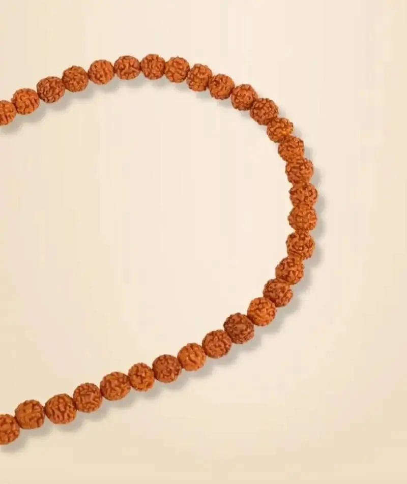 A close-up of a brown beaded necklace with evenly spaced round beads on a light background.